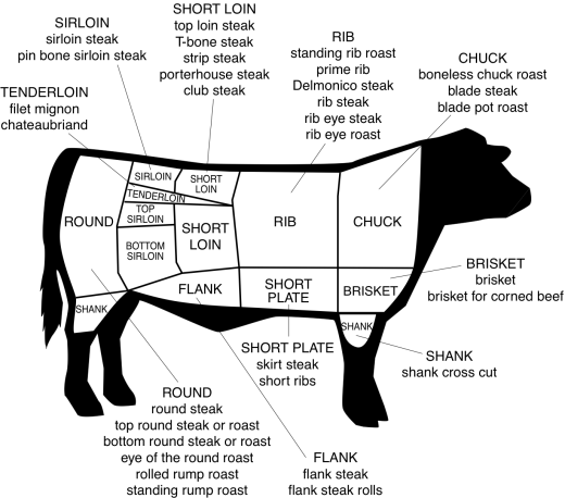 Beef Cuts 